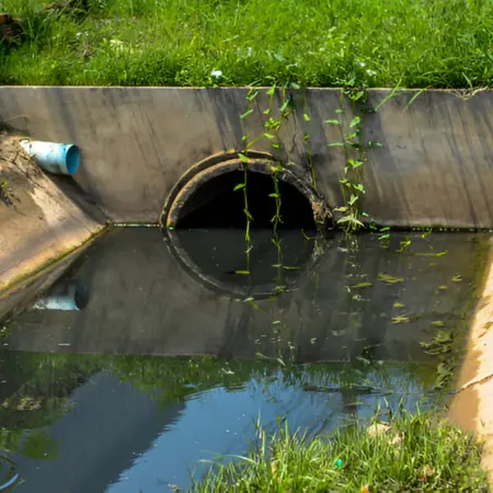 Septic Drain Field