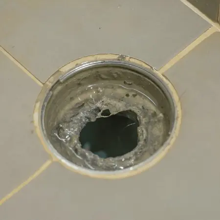 Smelly Drain