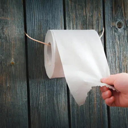 traditional toilet paper